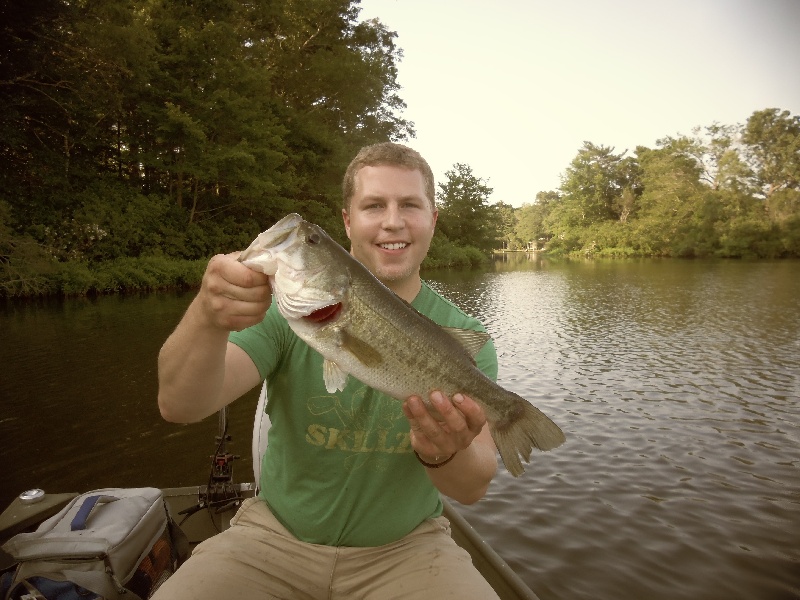 3 lb Senko Bass