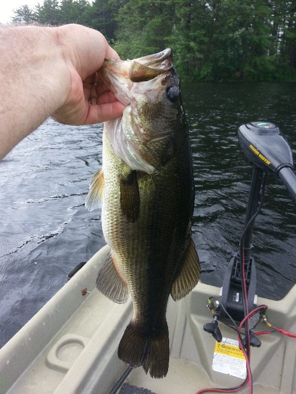 Fishing near Winchester in Middlesex County, Massachusetts - MA Fish Finder