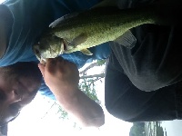 Bass fishing