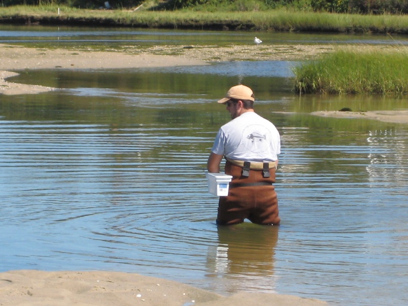 Fly Fishing Cape Cod