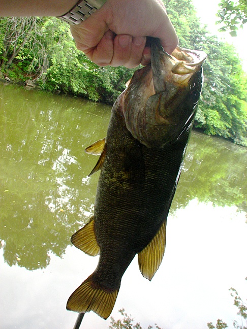 Smallmouth