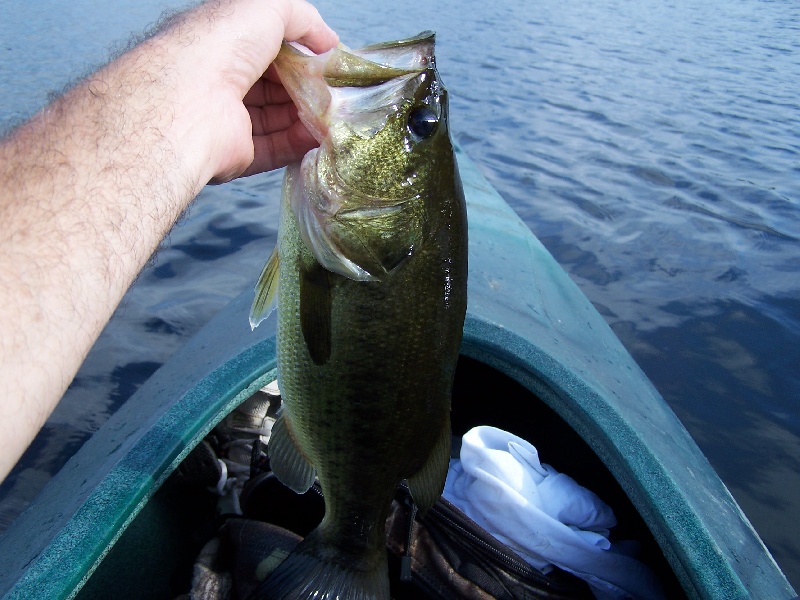 Fishing near Sherborn in Middlesex County, Massachusetts - MA Fish Finder