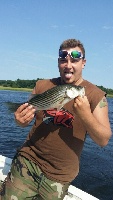 Schoolie striper Merrimac river