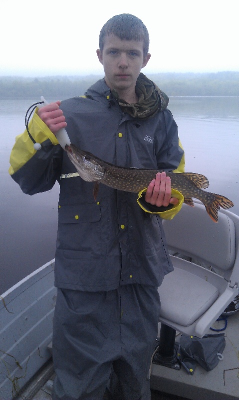 Northern Pike