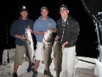 Cape Cod Bay Labor Day Weekend 40 Pound Striper