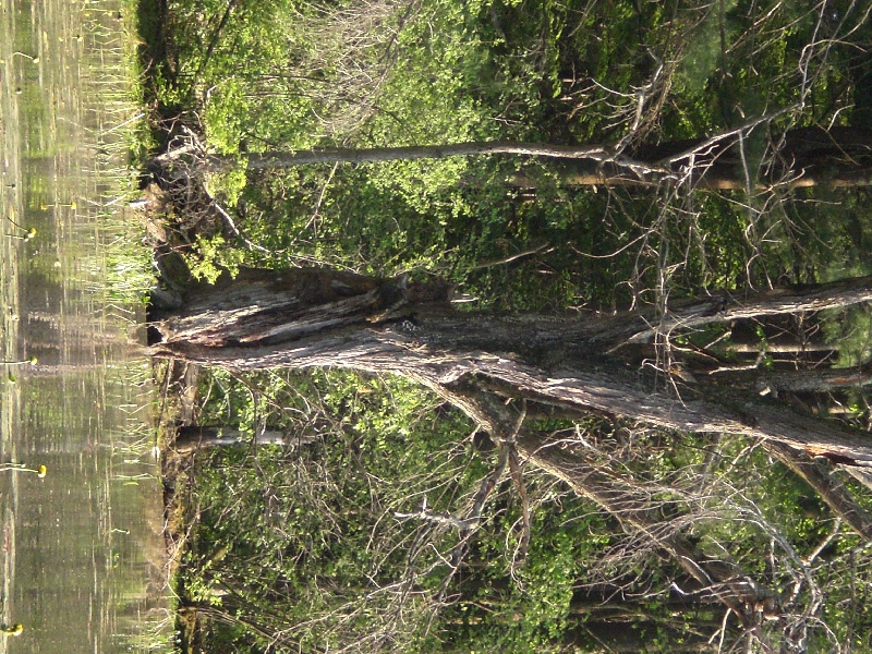 VIEW OF LIMITED FISHING AREA