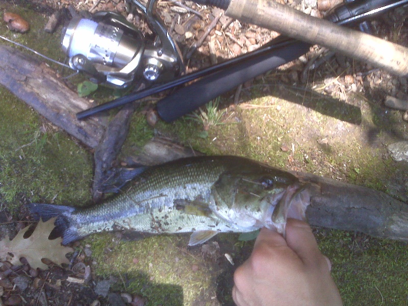 Lunch Break Bass lol