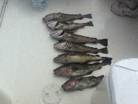 a good day on the water