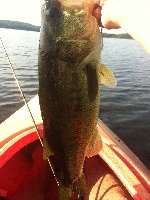 KAYAK TOURNAMENT RESULTS-JULY 26-QUABOAG POND