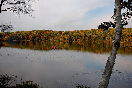 Lake Garfield Fishing - MA Fish Finder