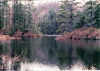 Breakneck Pond