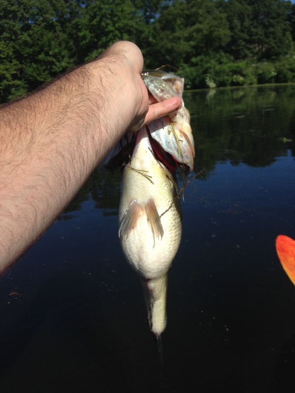 Fishing near Winchester in Middlesex County, Massachusetts - MA Fish Finder
