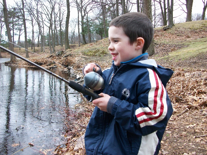 Bluegill