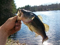 College pond