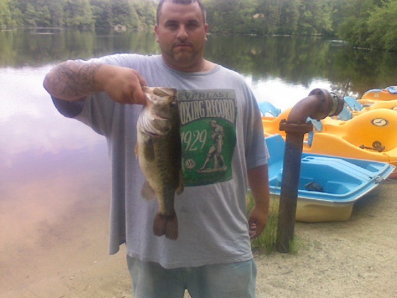 Big Hitter 3.5 LB